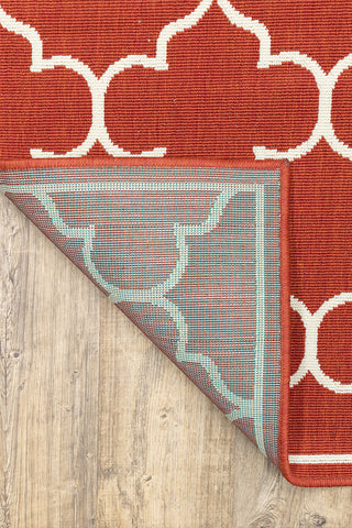 100% Polypropylene Vintage  Indoor/Outdoor Area Rug