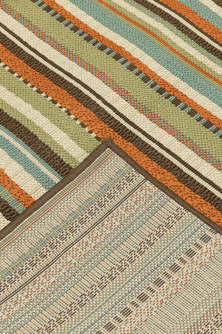 100% Polypropylene Vintage  Indoor/Outdoor Area Rug