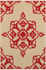 100% Polypropylene Vintage  Indoor/Outdoor Area Rug