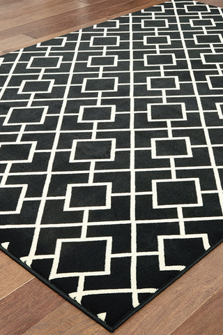 100% Polypropylene Vintage  Indoor Area Rug