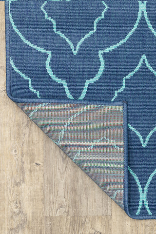 100% Polypropylene Vintage  Indoor/Outdoor Area Rug