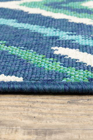 100% Polypropylene Vintage  Indoor/Outdoor Area Rug