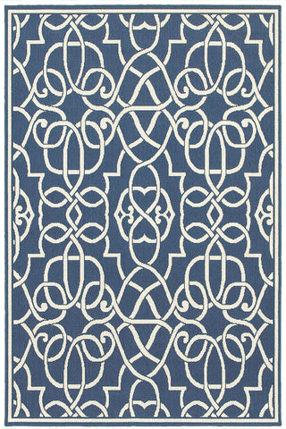 100% Polypropylene Vintage  Indoor/Outdoor Area Rug