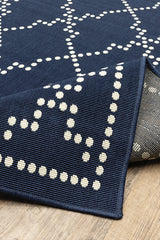 100% Polypropylene Vintage  Indoor/Outdoor Area Rug