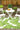 Veranda VR-62 green hand-hooked polypropylene rug styled on outdoor patio