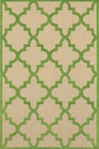 100% Polypropylene Vintage  Indoor/Outdoor Area Rug