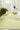 100% Polypropylene Rectangle Indoor/Outdoor Area Rug