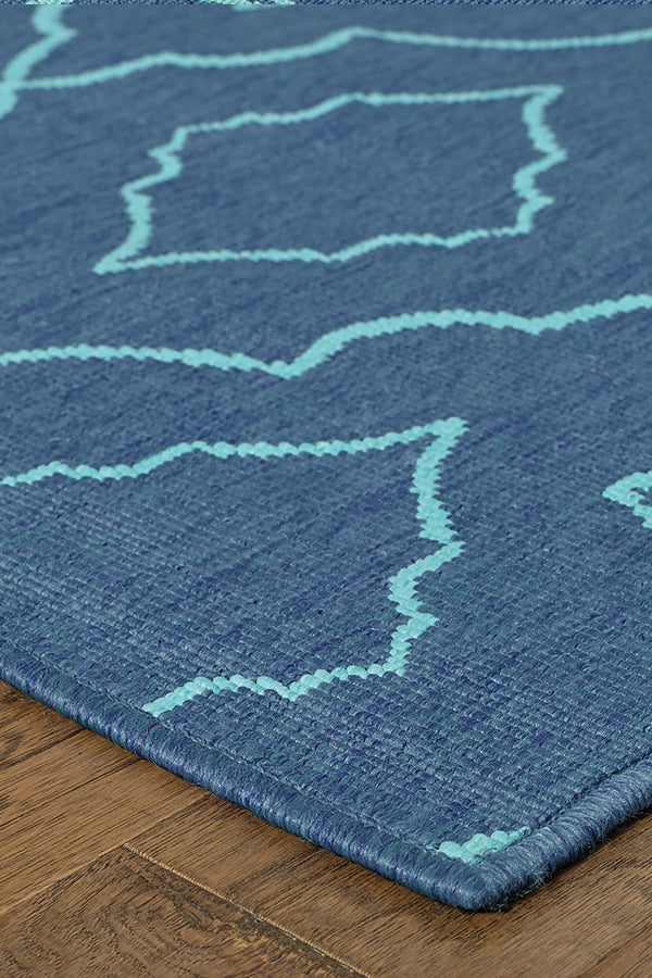 100% Polypropylene Vintage  Indoor/Outdoor Area Rug