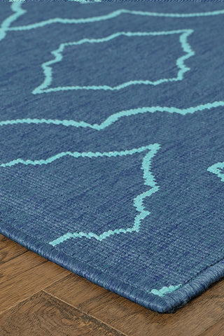 100% Polypropylene Vintage  Indoor/Outdoor Area Rug
