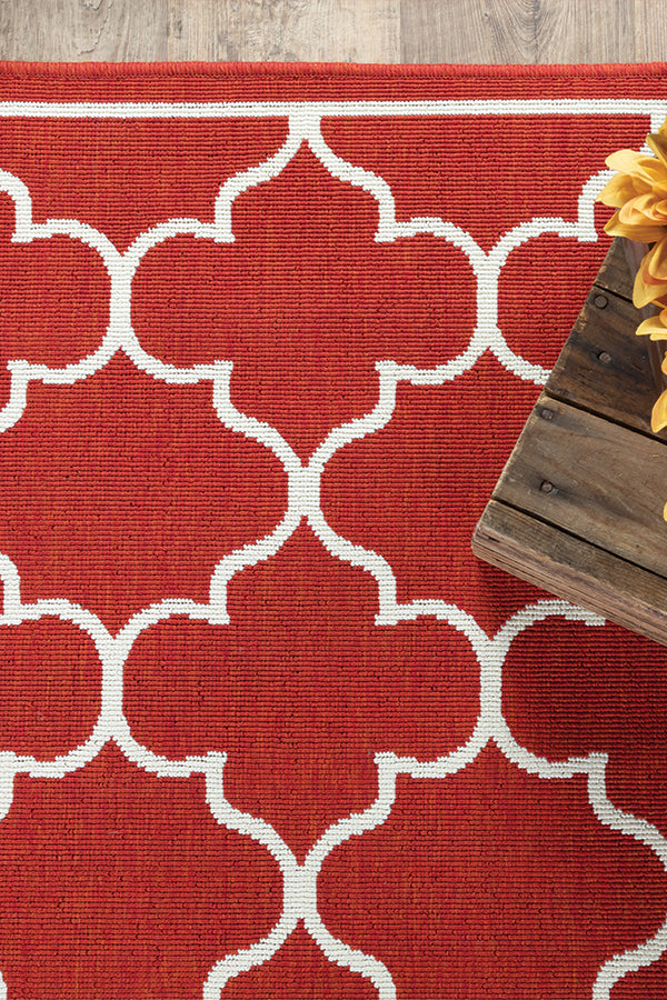 100% Polypropylene Vintage  Indoor/Outdoor Area Rug