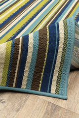 100% Polypropylene Vintage  Indoor/Outdoor Area Rug