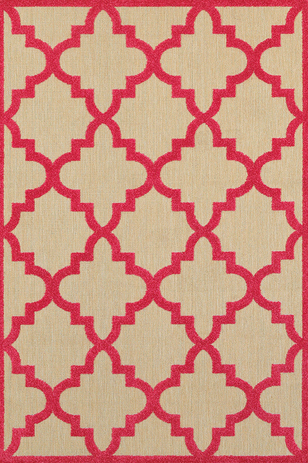 100% Polypropylene Vintage  Indoor/Outdoor Area Rug