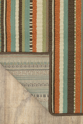 100% Polypropylene Vintage  Indoor/Outdoor Area Rug