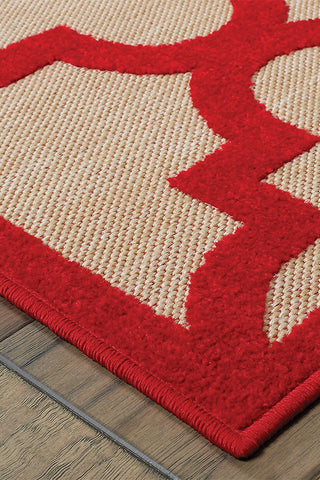 100% Polypropylene Vintage  Indoor/Outdoor Area Rug