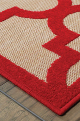 100% Polypropylene Vintage  Indoor/Outdoor Area Rug