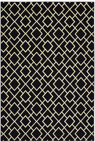 100% Polypropylene Vintage  Indoor Area Rug