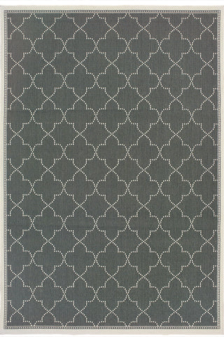 100% Polypropylene Vintage  Indoor/Outdoor Area Rug