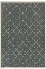 100% Polypropylene Vintage  Indoor/Outdoor Area Rug