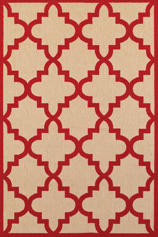 100% Polypropylene Vintage  Indoor/Outdoor Area Rug