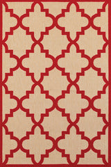 100% Polypropylene Vintage  Indoor/Outdoor Area Rug