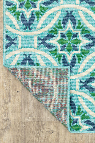 100% Polypropylene Vintage  Indoor/Outdoor Area Rug