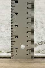100% Polypropylene Modern  Indoor Area Rug