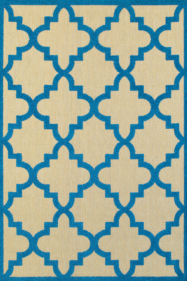 100% Polypropylene Vintage  Indoor/Outdoor Area Rug