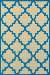 100% Polypropylene Vintage  Indoor/Outdoor Area Rug