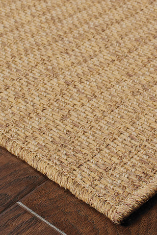 100% Polypropylene Vintage  Indoor/Outdoor Area Rug