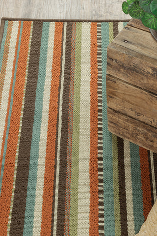 100% Polypropylene Vintage  Indoor/Outdoor Area Rug