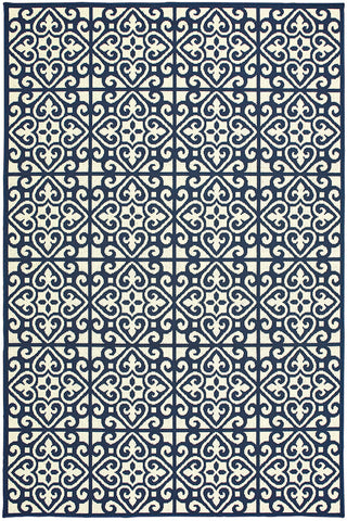 100% Polypropylene Vintage  Indoor/Outdoor Area Rug