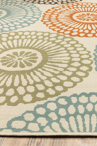 100% Polypropylene Vintage  Indoor/Outdoor Area Rug