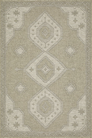 100% Polypropylene Vintage  Indoor/Outdoor Area Rug