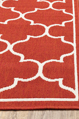 100% Polypropylene Vintage  Indoor/Outdoor Area Rug
