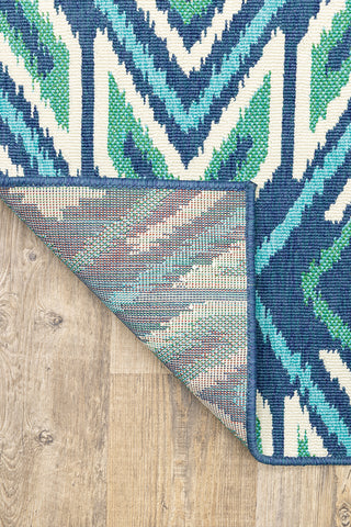 100% Polypropylene Vintage  Indoor/Outdoor Area Rug
