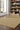 100% Polypropylene Vintage  Indoor/Outdoor Area Rug