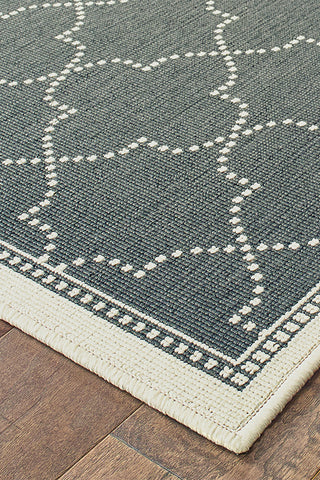 100% Polypropylene Vintage  Indoor/Outdoor Area Rug