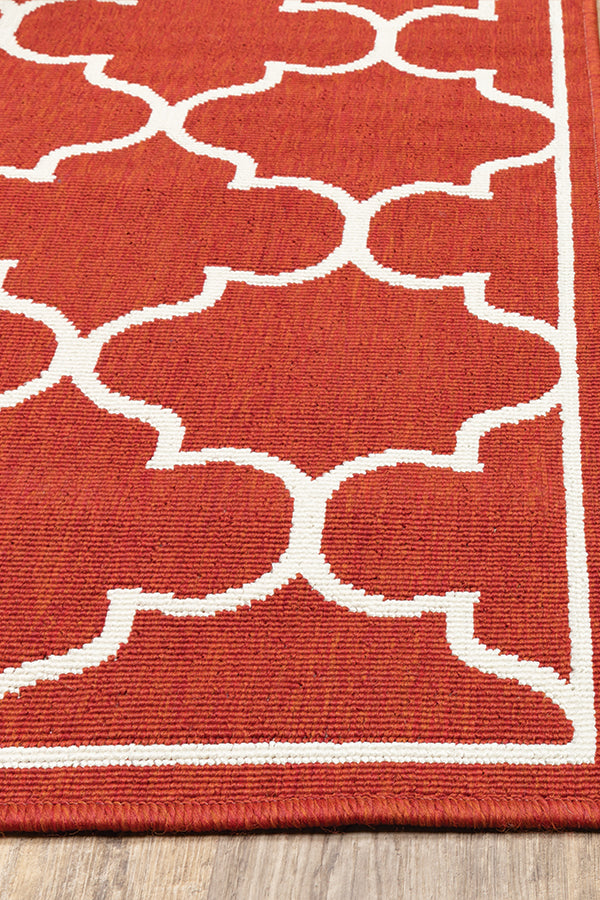 100% Polypropylene Vintage  Indoor/Outdoor Area Rug