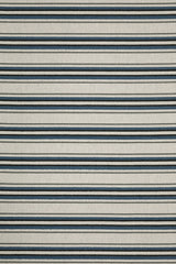 100% Polypropylene Vintage  Indoor/Outdoor Area Rug