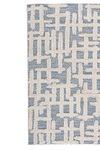 Raza Denim Area Rug