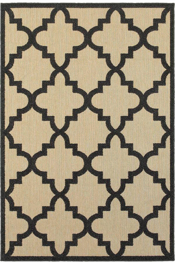 100% Polypropylene Vintage  Indoor/Outdoor Area Rug
