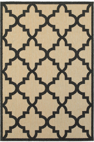 100% Polypropylene Vintage  Indoor/Outdoor Area Rug