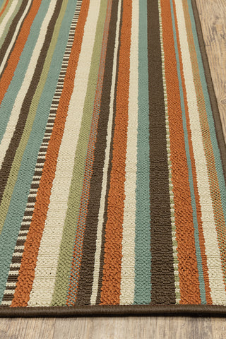 100% Polypropylene Vintage  Indoor/Outdoor Area Rug