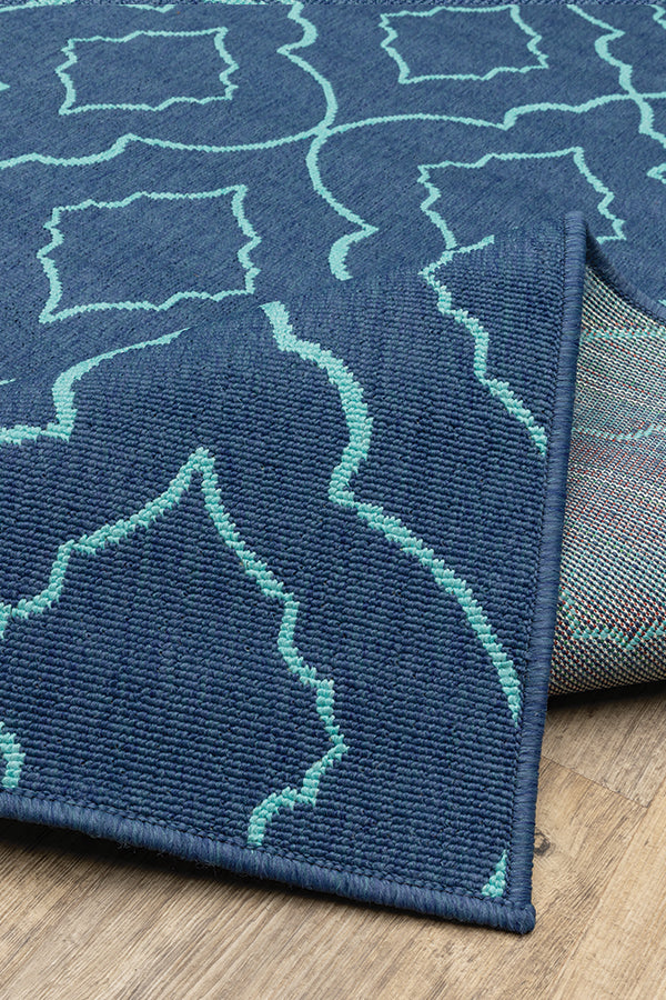 100% Polypropylene Vintage  Indoor/Outdoor Area Rug