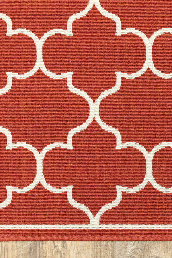 100% Polypropylene Vintage  Indoor/Outdoor Area Rug