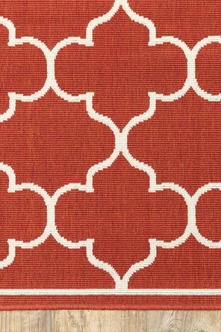 100% Polypropylene Vintage  Indoor/Outdoor Area Rug