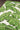 Durable UV-protected green polypropylene rug in modern living room