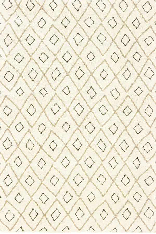 100% Polypropylene Vintage  Indoor Area Rug