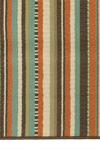 100% Polypropylene Vintage  Indoor/Outdoor Area Rug