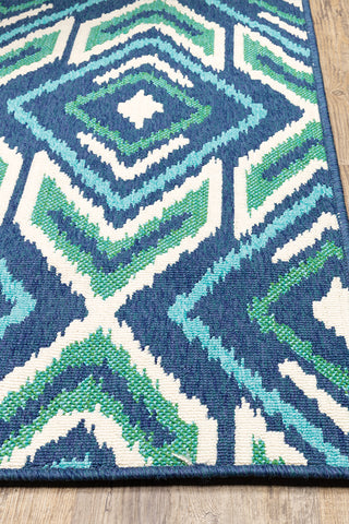 100% Polypropylene Vintage  Indoor/Outdoor Area Rug
